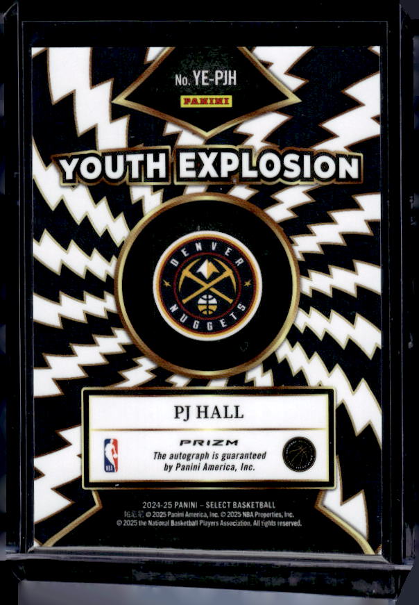 2024-25 Panini Select #YE-PJH PJ Hall Youth Explosion Signatures