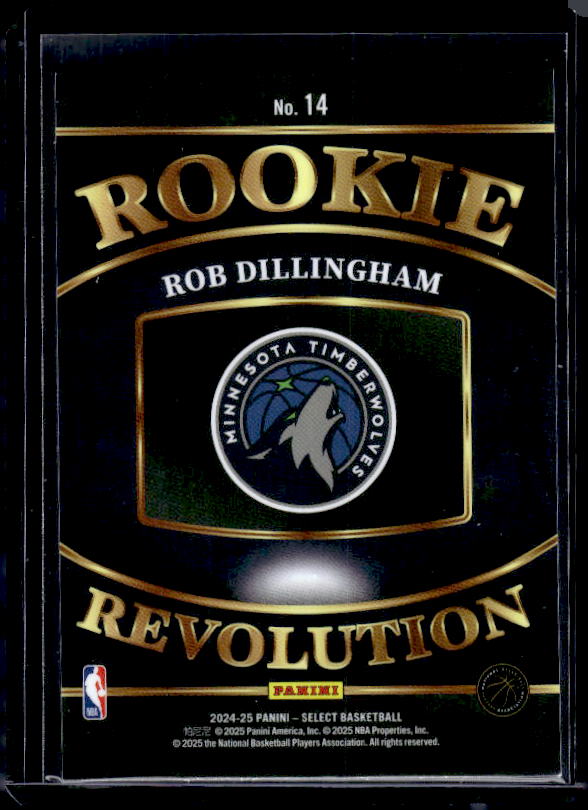 2024-25 Panini Select #14 Rob Dillingham Rookie Revolution