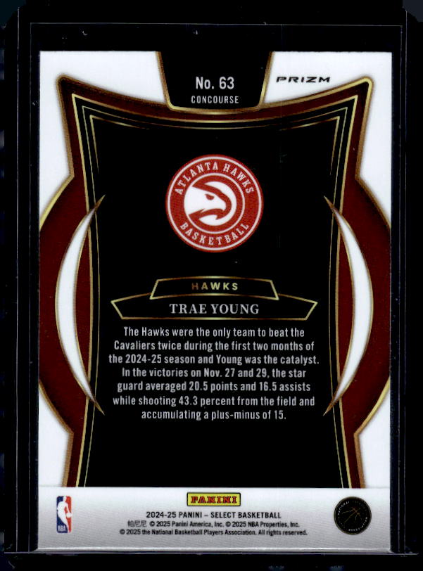 2024-25 Panini Select #63 Trae Young Red Cracked Ice Prizm