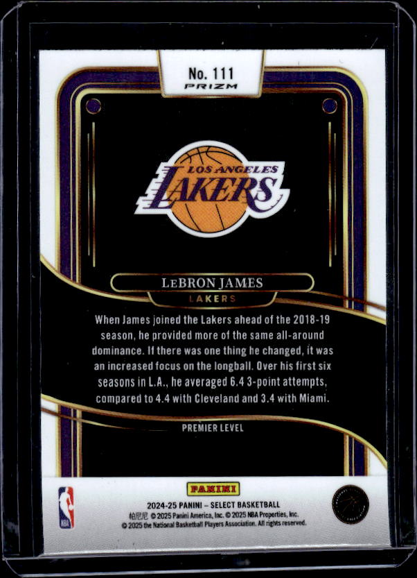 2024-25 Panini Select #111 LeBron James Red Cracked Ice Prizm